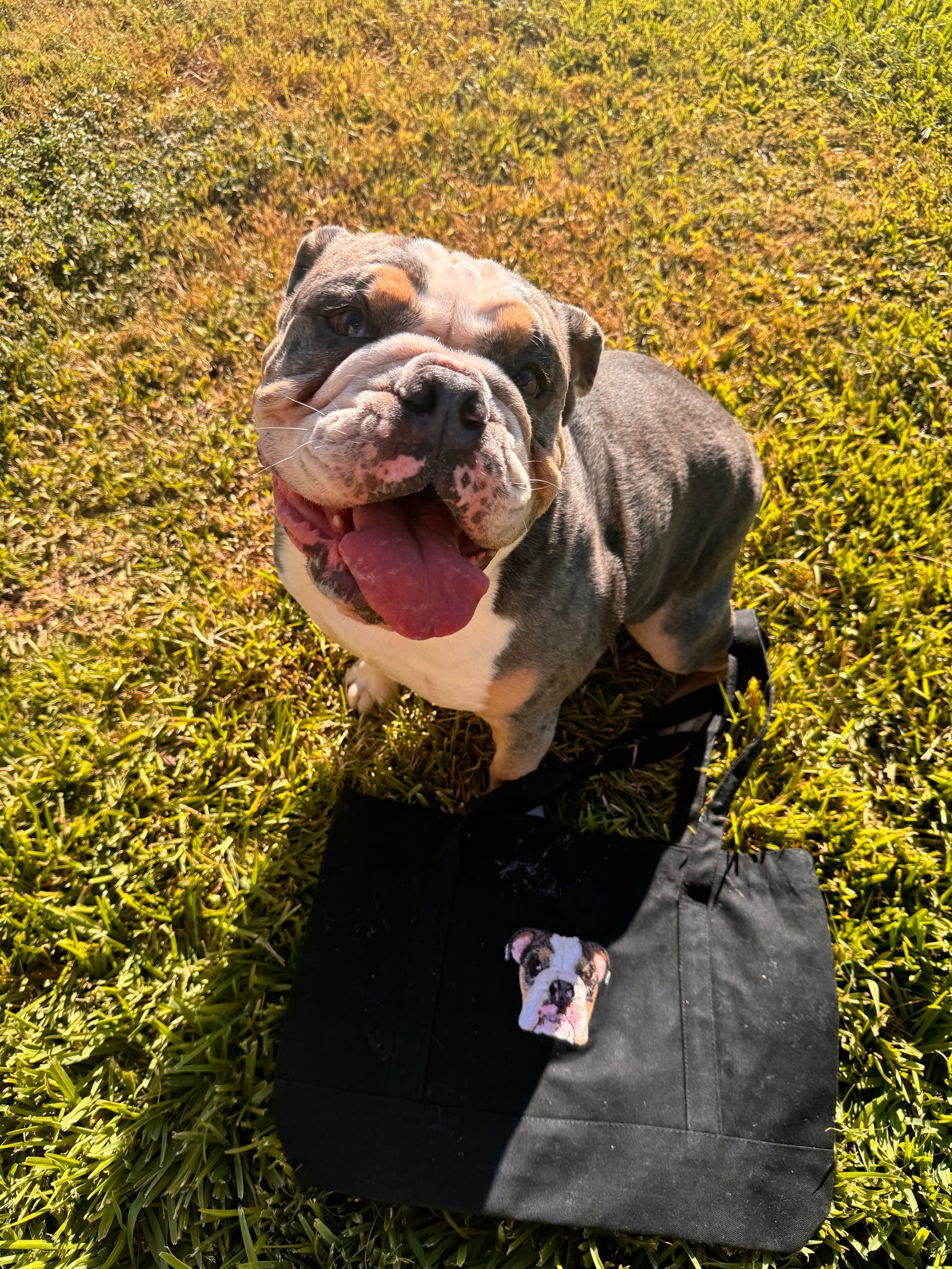A Tote Preta Personalizada Bordada
