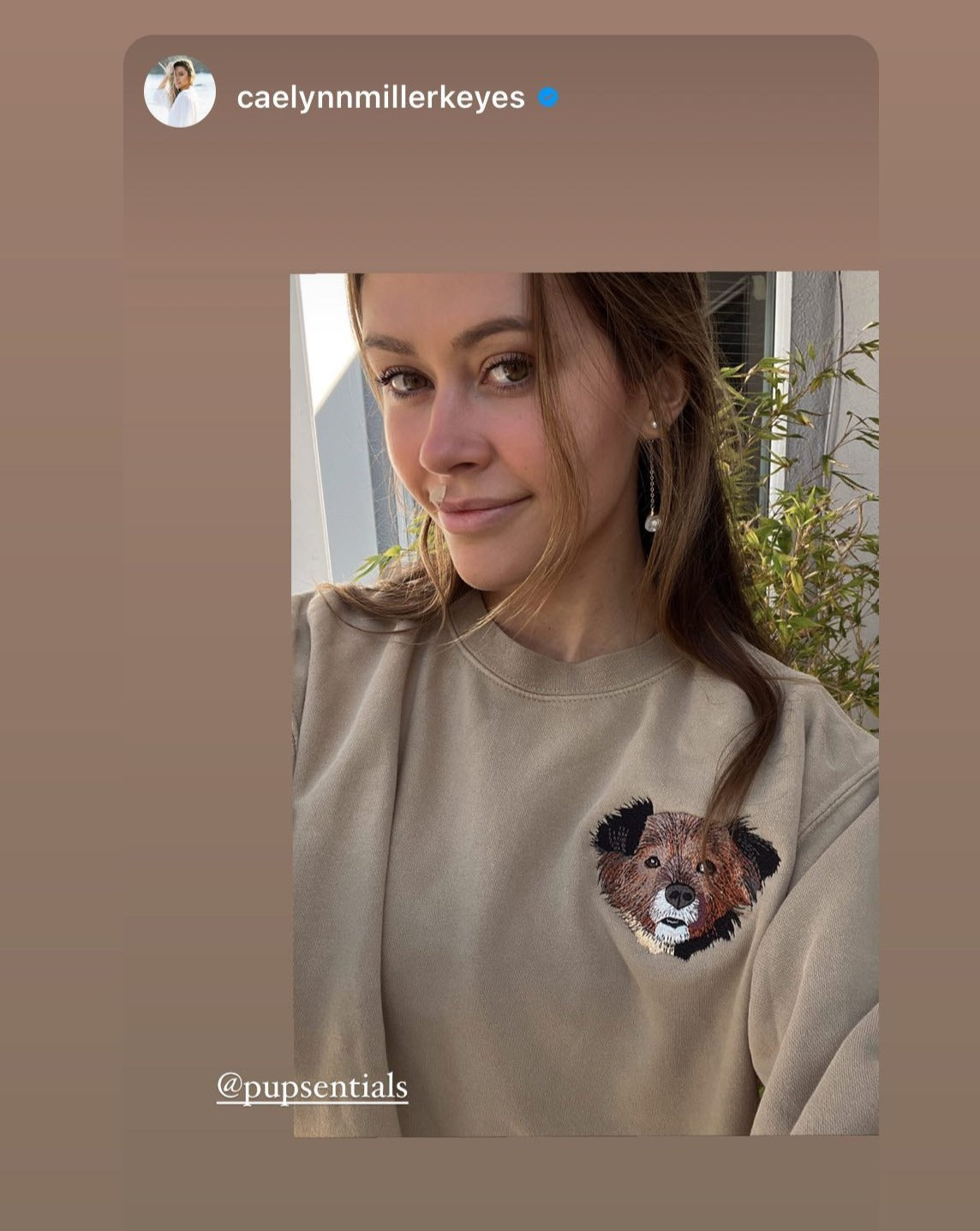 O Moletom Personalizado com Retrato Bordado de Animais de Estimação