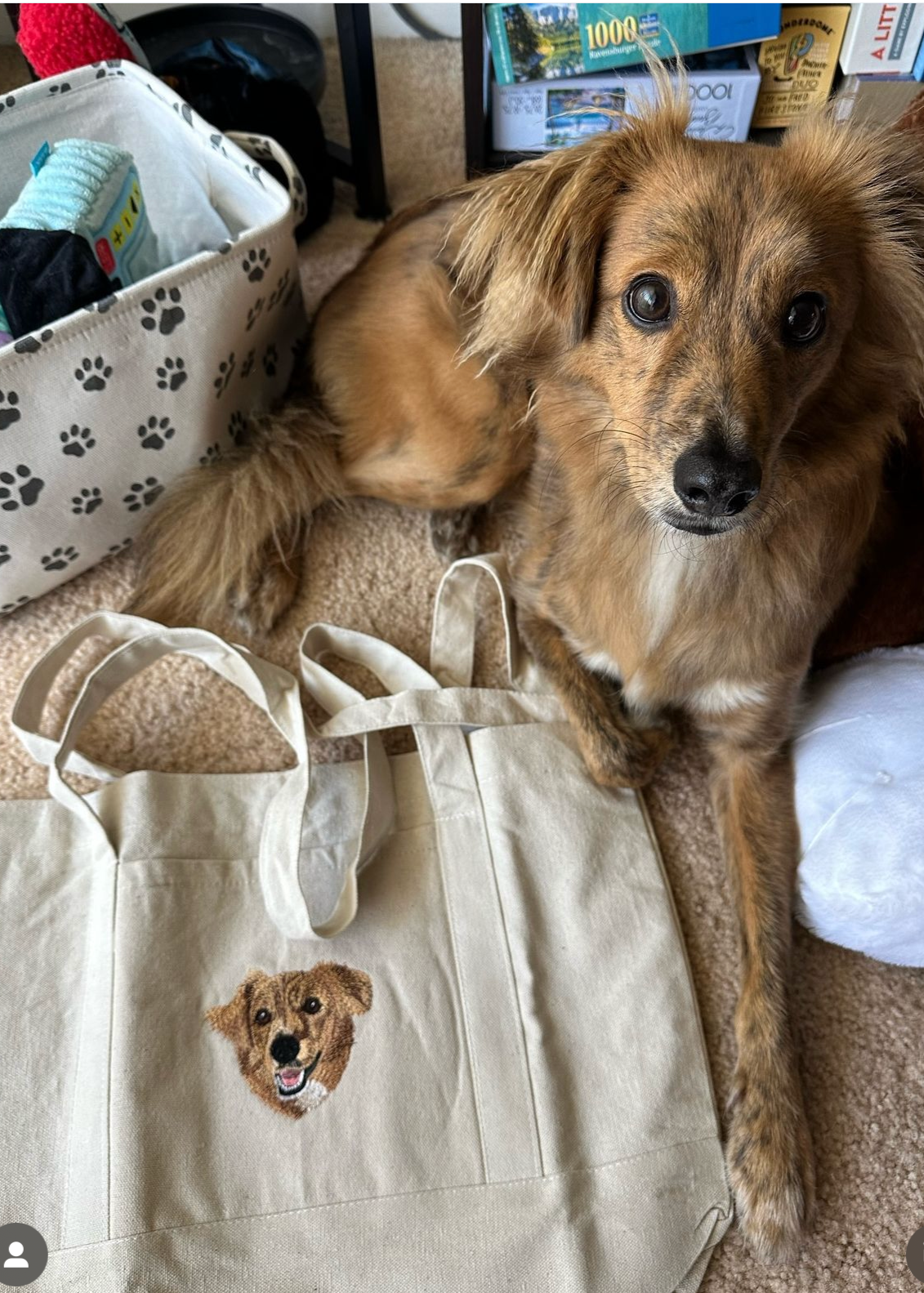 A Tote Personalizada em Lona - Bordada