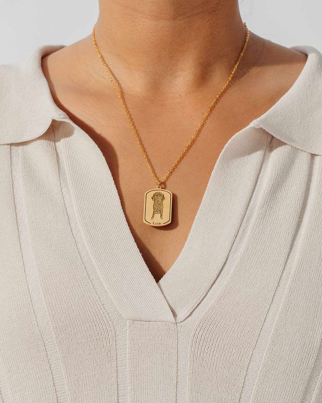 Colar de Dogtag