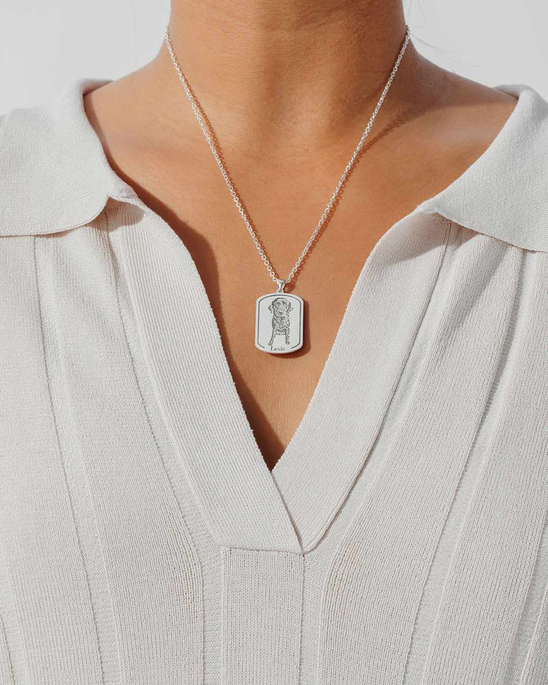 Colar de Dogtag