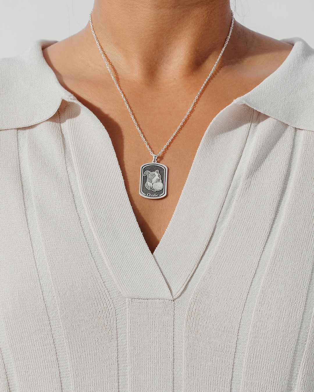 Colar Dogtag