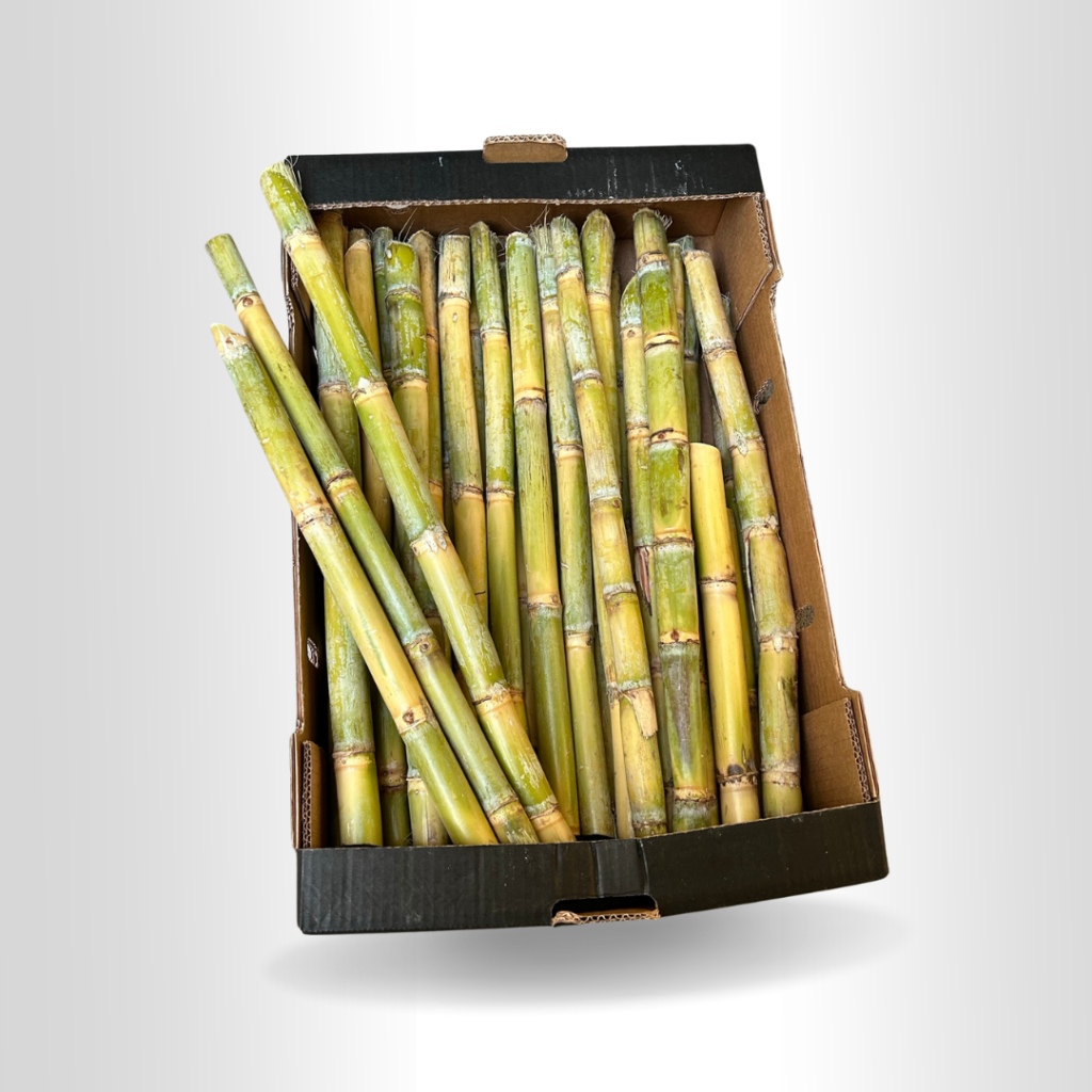 Cana de Açúcar Fresca Tipo Brasileira 20kg por Caixa