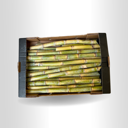 Cana de Açúcar Fresca Tipo Brasileira 10kg por Caixa