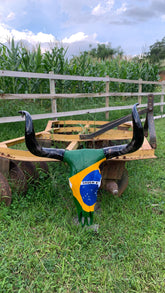 Crânio Bovino com Bandeira do Brasil