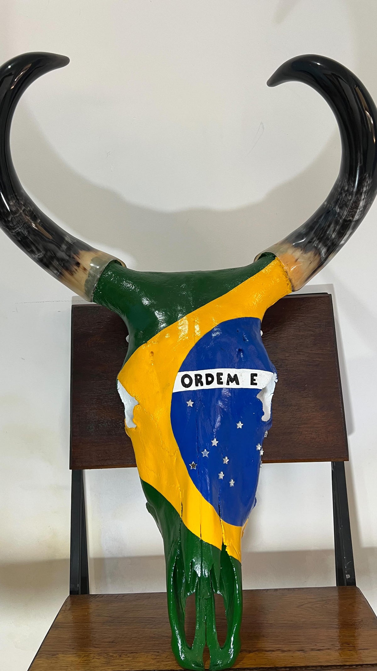Crânio Bovino com Bandeira do Brasil – Estilo Rústico Autêntico