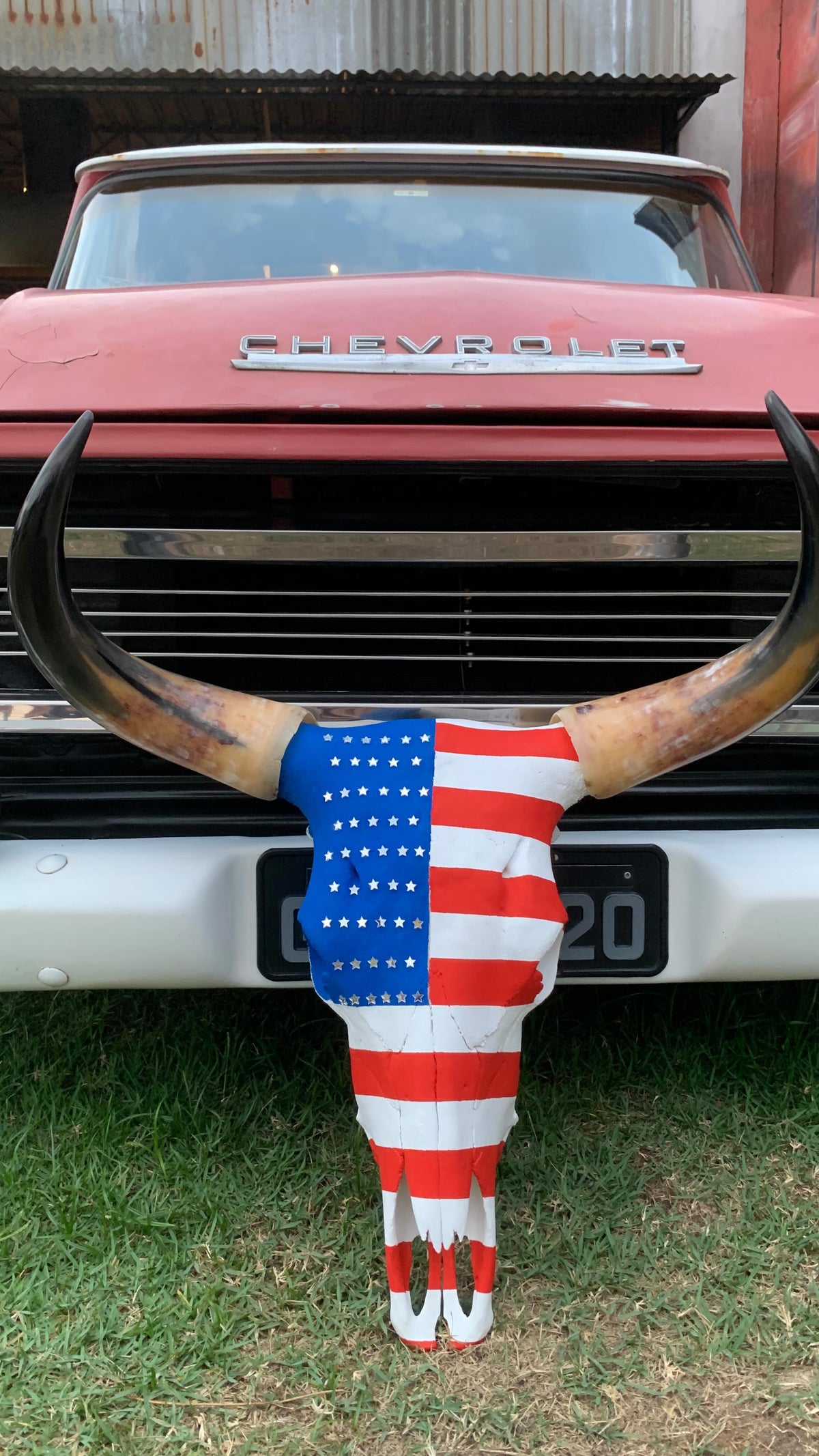Crânio Bovino com Pintura Inspirada na Bandeira do Estados Unidos – Estilo Autêntico