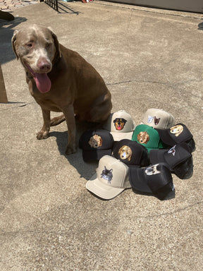 Boné Trucker Personalizado com Patch Bordado
