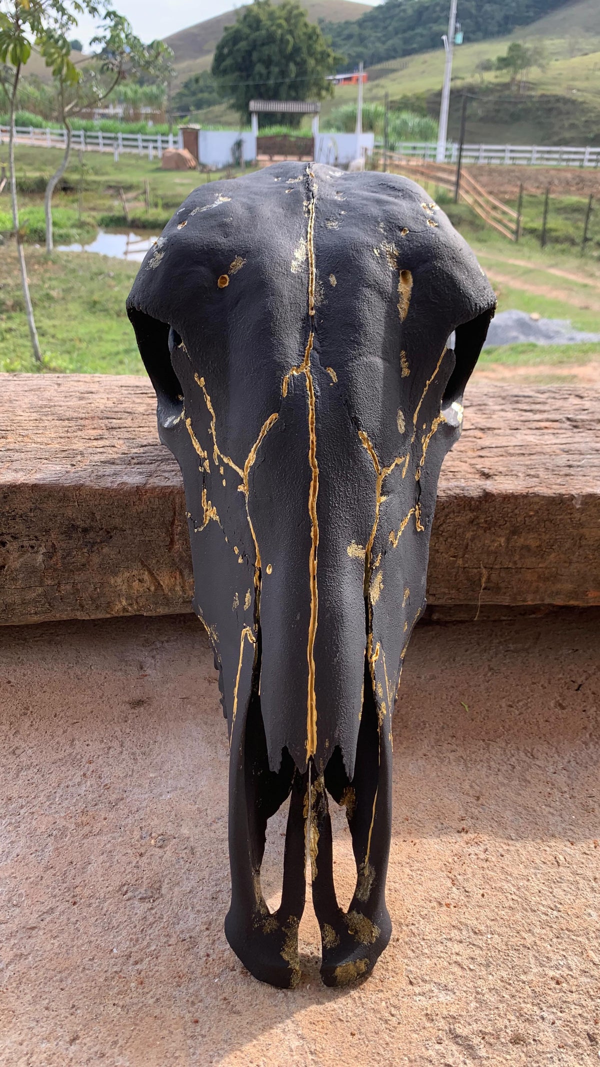Crânio Bovino Preto com Detalhes Dourados – Estilo Kintsugi