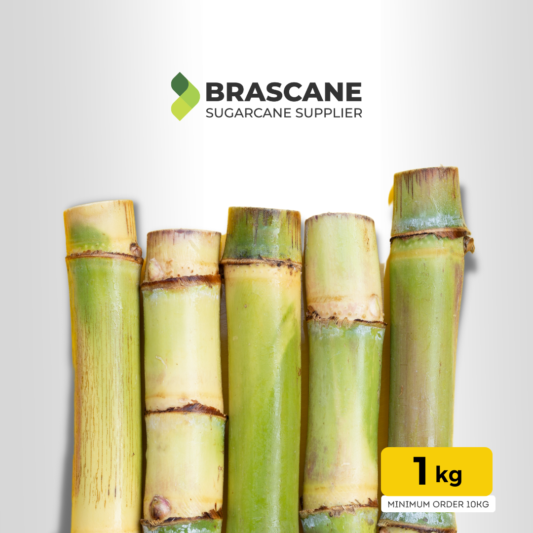 Cana de Açúcar Fresca Tipo Brasileira 1kg por Caixa