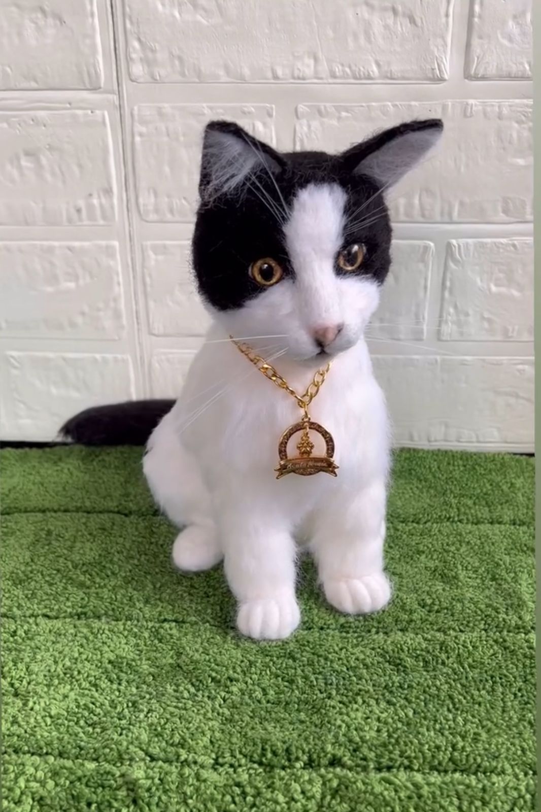 Personalize seu Gato (PET)