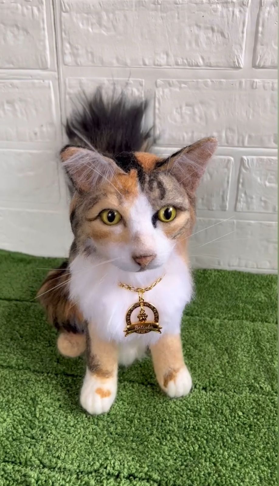Personalize seu Gato (PET)