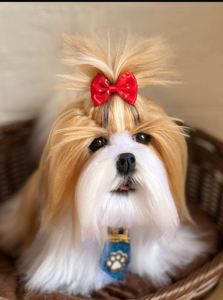 Personalize seu Cachorro (PET)