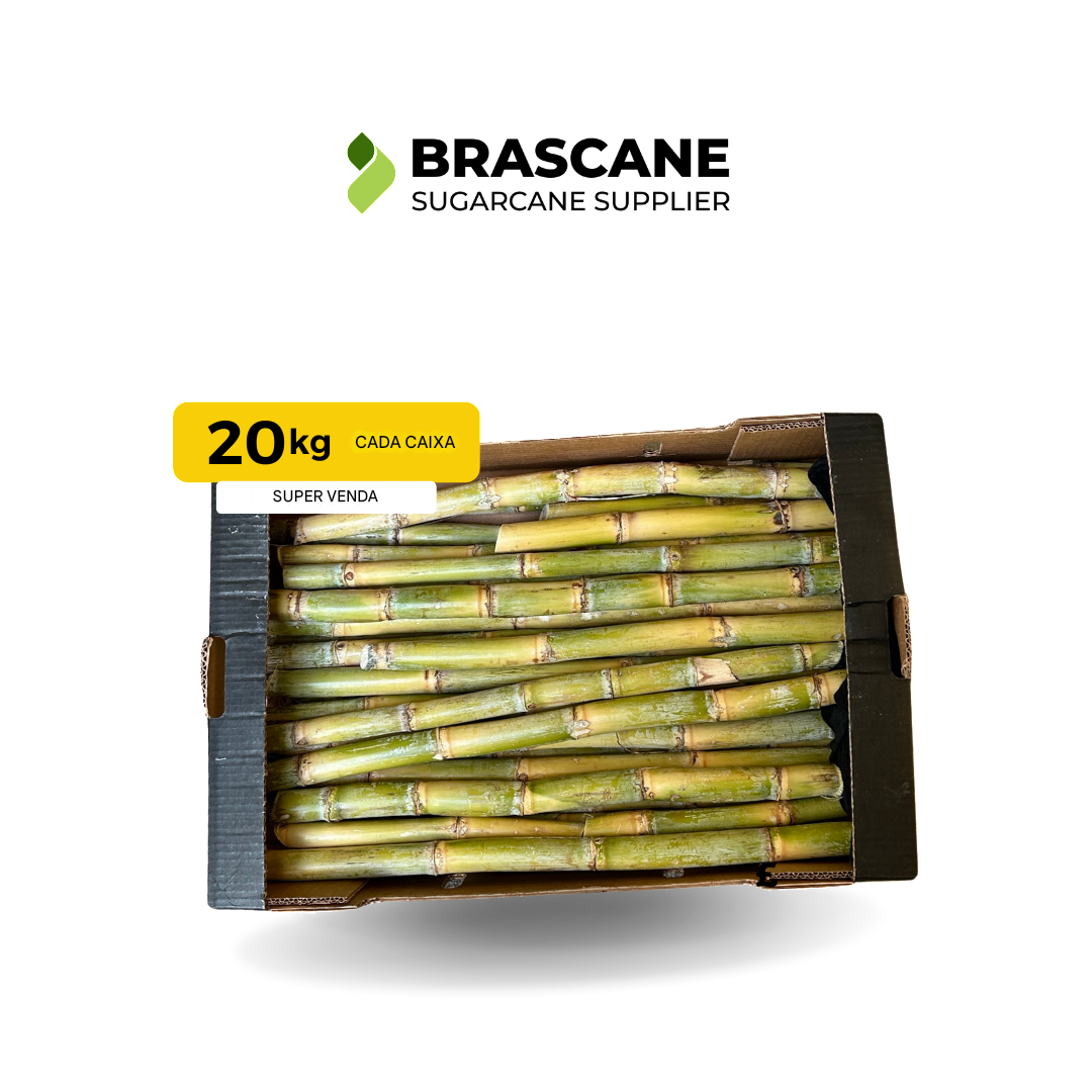 Cana de Açúcar Fresca Tipo Brasileira 10kg por Caixa